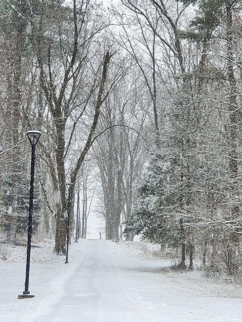 A snow covered path leads between snow covered trees